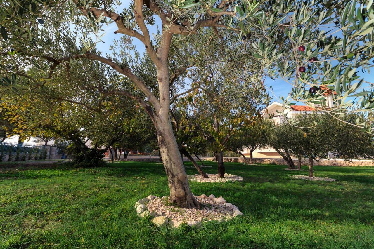 סרימה Villa Dream מראה חיצוני תמונה